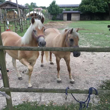 Casa Ariis Farm stay Clauiano