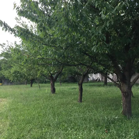 Casa Ariis Farm stay